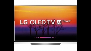 OLED LG 65E8 + REMOTE